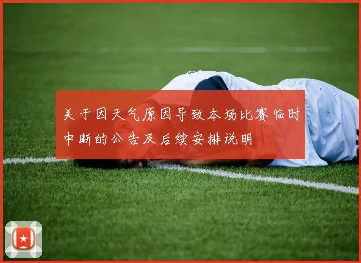 关于因天气原因导致本场比赛临时中断的公告及后续安排说明