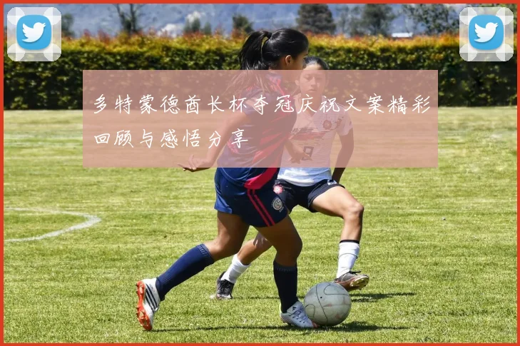 多特蒙德酋长杯夺冠庆祝文案精彩回顾与感悟分享
